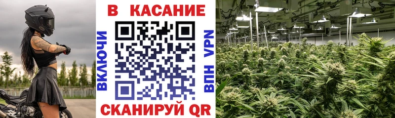 Где купить наркоту Южно-Сахалинск mega ссылки МАРИХУАНА АМФ ГАШ Меф мяу мяу A PVP