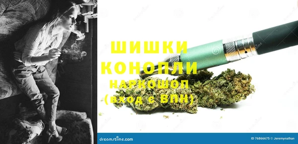 стаф Аркадак
