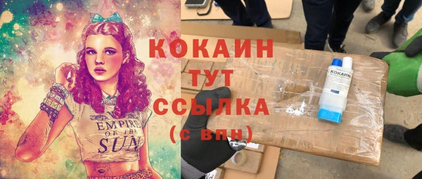 стаф Аркадак