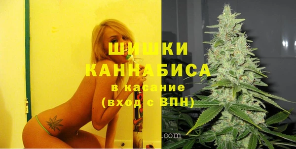 стаф Аркадак