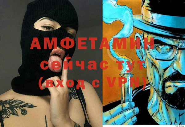 стаф Аркадак