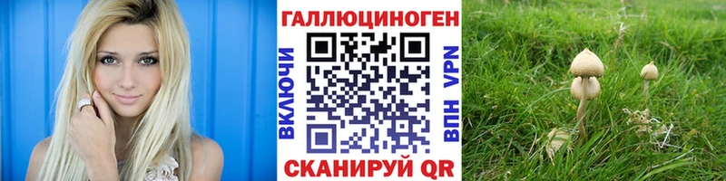 закладки  Южно-Сахалинск  Псилоцибиновые грибы GOLDEN TEACHER 